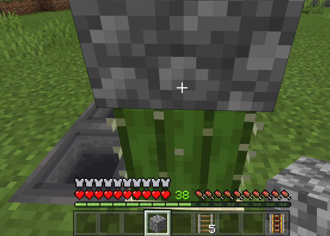 f:id:little_strange:20210130230102p:plain