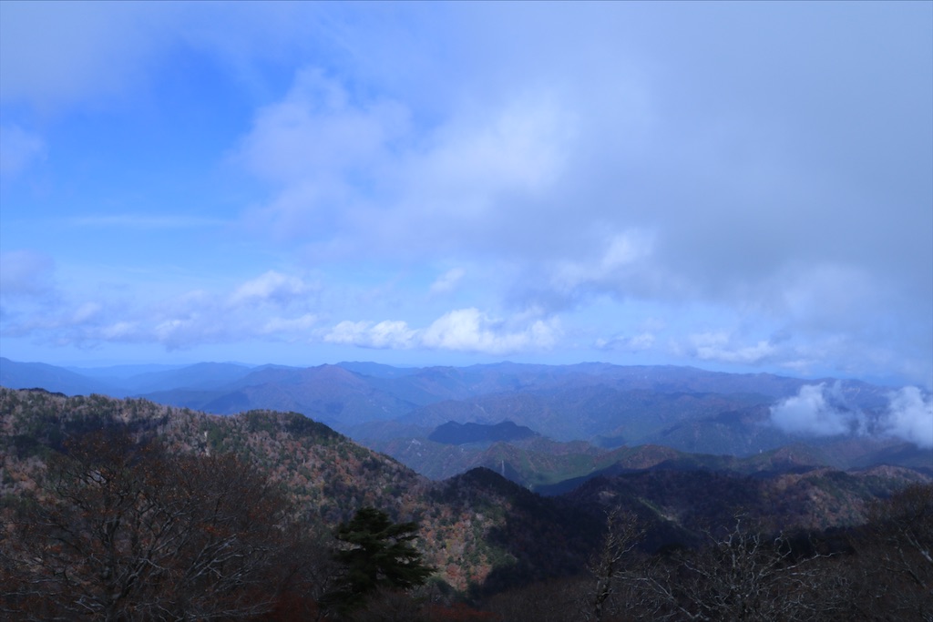 f:id:littlegreeneri:20201108123312j:plain f:id:littlegreeneri:20201108123312j:plain