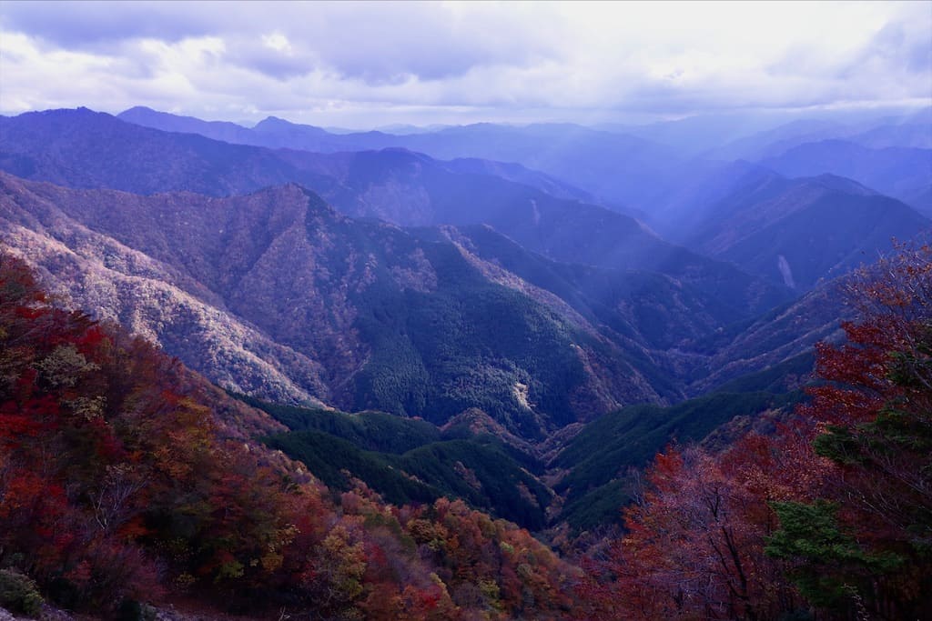 f:id:littlegreeneri:20201108132500j:plain f:id:littlegreeneri:20201108132500j:plain