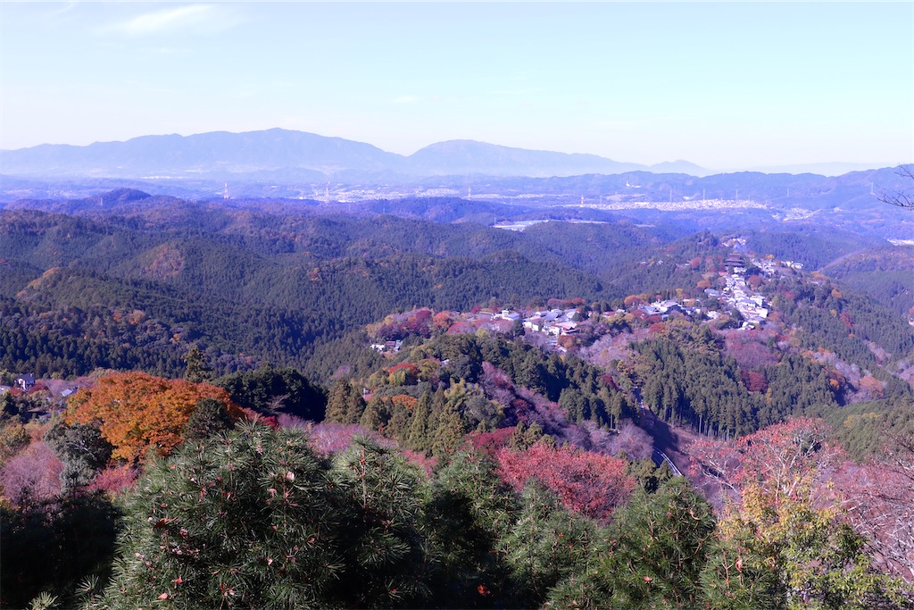 f:id:littlegreeneri:20201122210457j:image f:id:littlegreeneri:20201122210457j:image