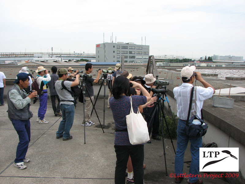 f:id:littletern:20090711102807j:image f:id:littletern:20090711102807j:image