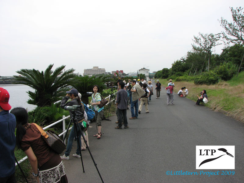 f:id:littletern:20090711114934j:image f:id:littletern:20090711114934j:image