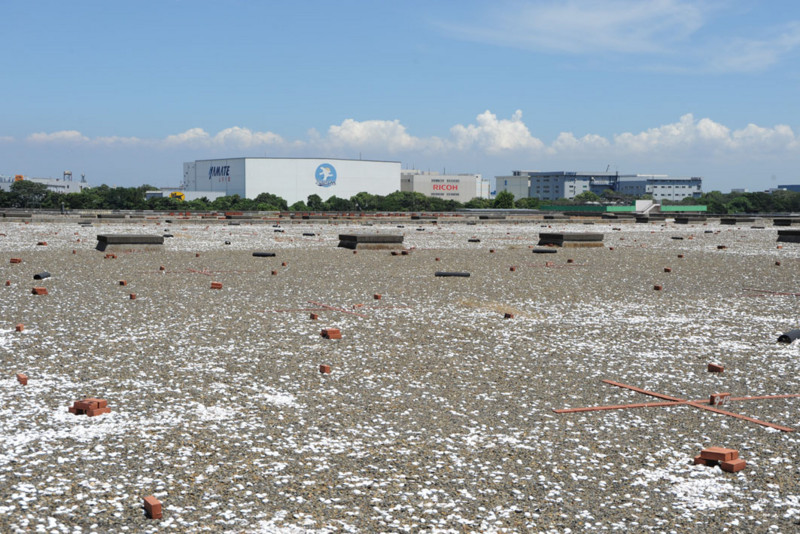 f:id:littletern:20100807124046j:image