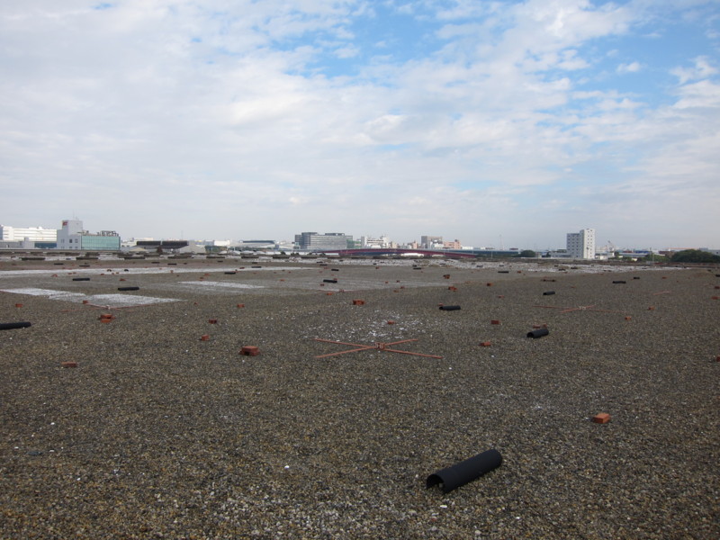 f:id:littletern:20101121100251j:image