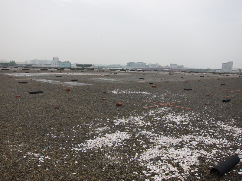 f:id:littletern:20110611151323j:image:w640 f:id:littletern:20110611151323j:image:w640