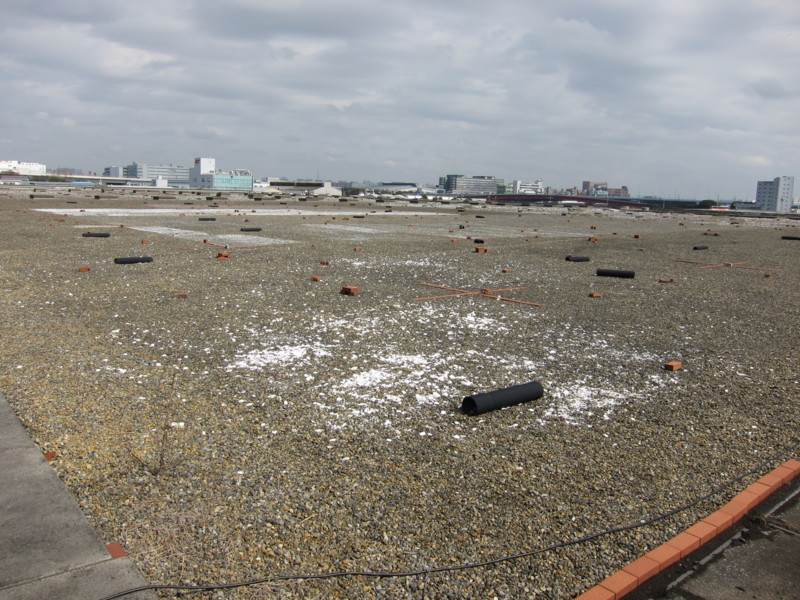 f:id:littletern:20120311103334j:image:w640 f:id:littletern:20120311103334j:image:w640