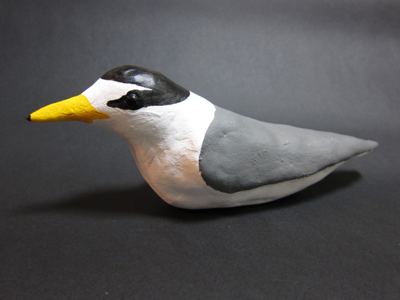 f:id:littletern:20120411233734j:image:w640 f:id:littletern:20120411233734j:image:w640