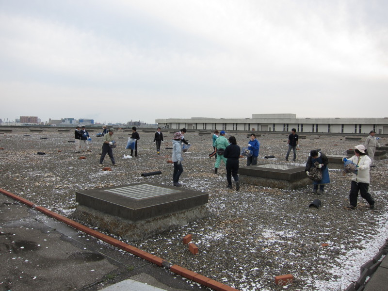 f:id:littletern:20120415152819j:image:w640