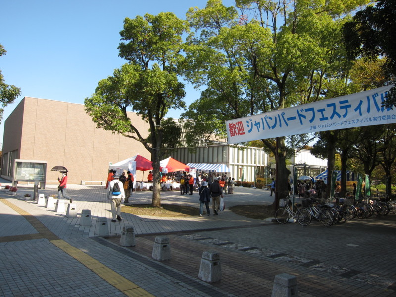 f:id:littletern:20121103131148j:image:w640 f:id:littletern:20121103131148j:image:w640