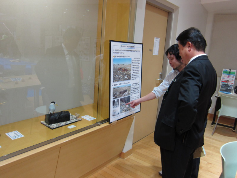 f:id:littletern:20121103154226j:image:w640 f:id:littletern:20121103154226j:image:w640