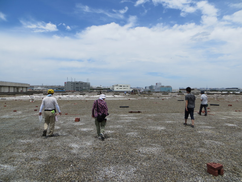 f:id:littletern:20130706114655j:image:w640