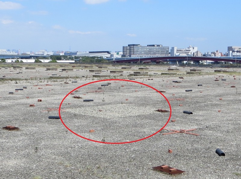 f:id:littletern:20130901115038j:image:w640 f:id:littletern:20130901115038j:image:w640
