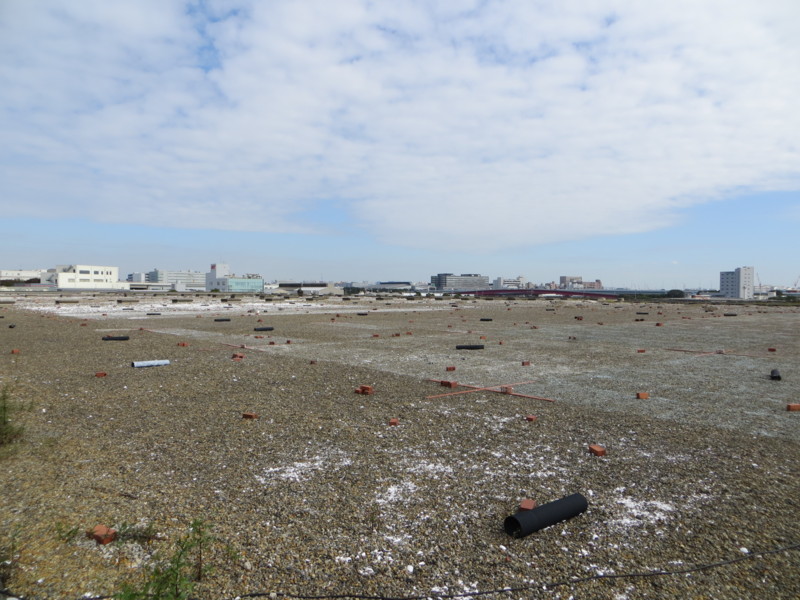 f:id:littletern:20130929092526j:image:w640