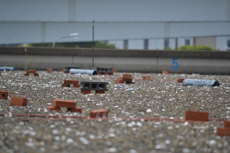f:id:littletern:20140525133214j:image