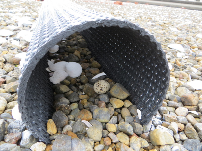 f:id:littletern:20150516141032j:image:w640