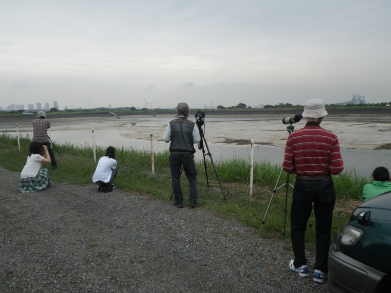 f:id:littletern:20150614101722j:image f:id:littletern:20150614101722j:image
