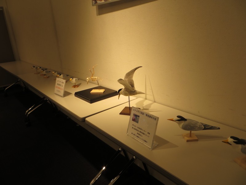 f:id:littletern:20151205133138j:image:w640