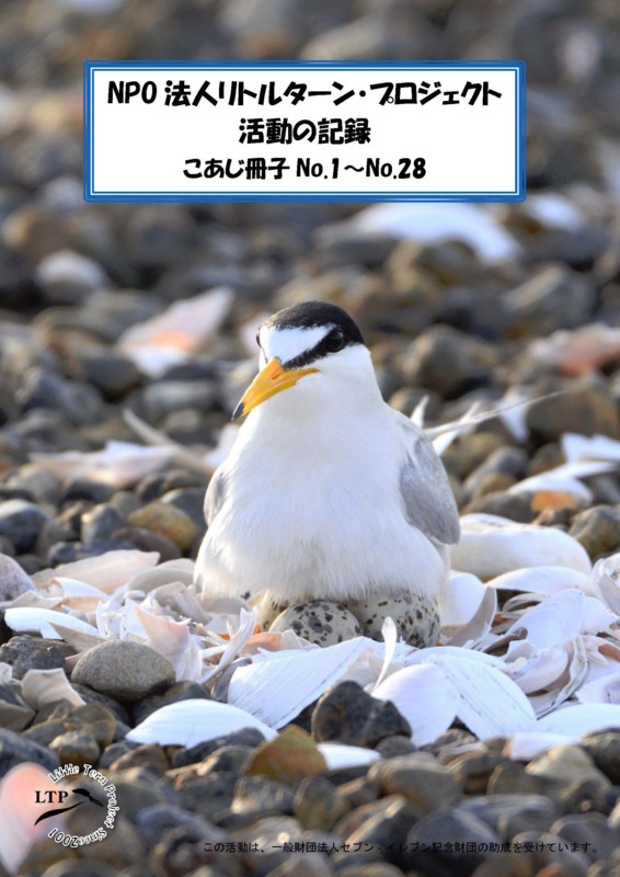 f:id:littletern:20160428004019j:image:w640 f:id:littletern:20160428004019j:image:w640
