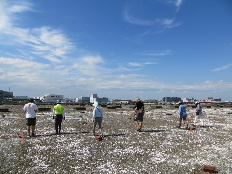 f:id:littletern:20160626144759j:image:w640 f:id:littletern:20160626144759j:image:w640