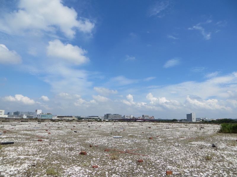 f:id:littletern:20160904112902j:image:w640 f:id:littletern:20160904112902j:image:w640