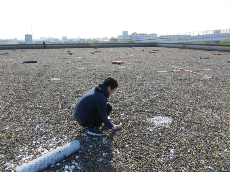 f:id:littletern:20170430154118j:image:w640