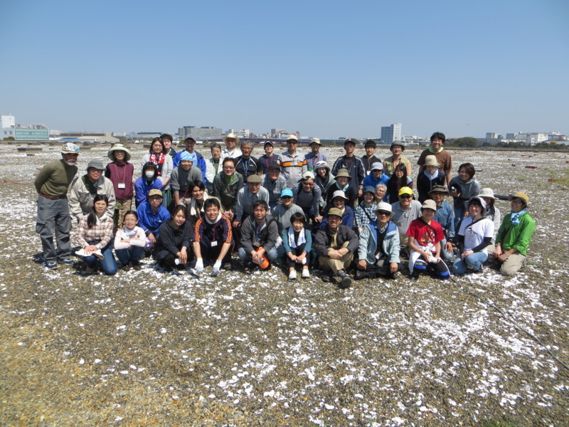 f:id:littletern:20180325115236j:image:w640