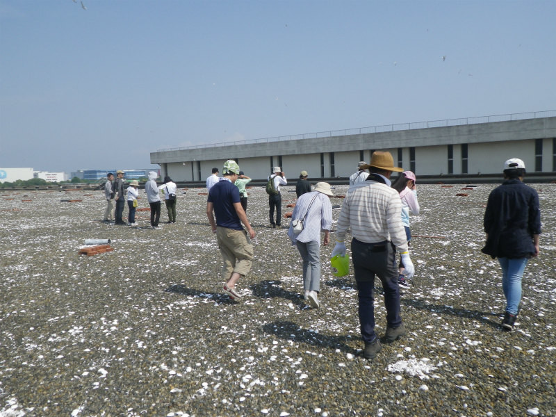 f:id:littletern:20180528015323j:image f:id:littletern:20180528015323j:image