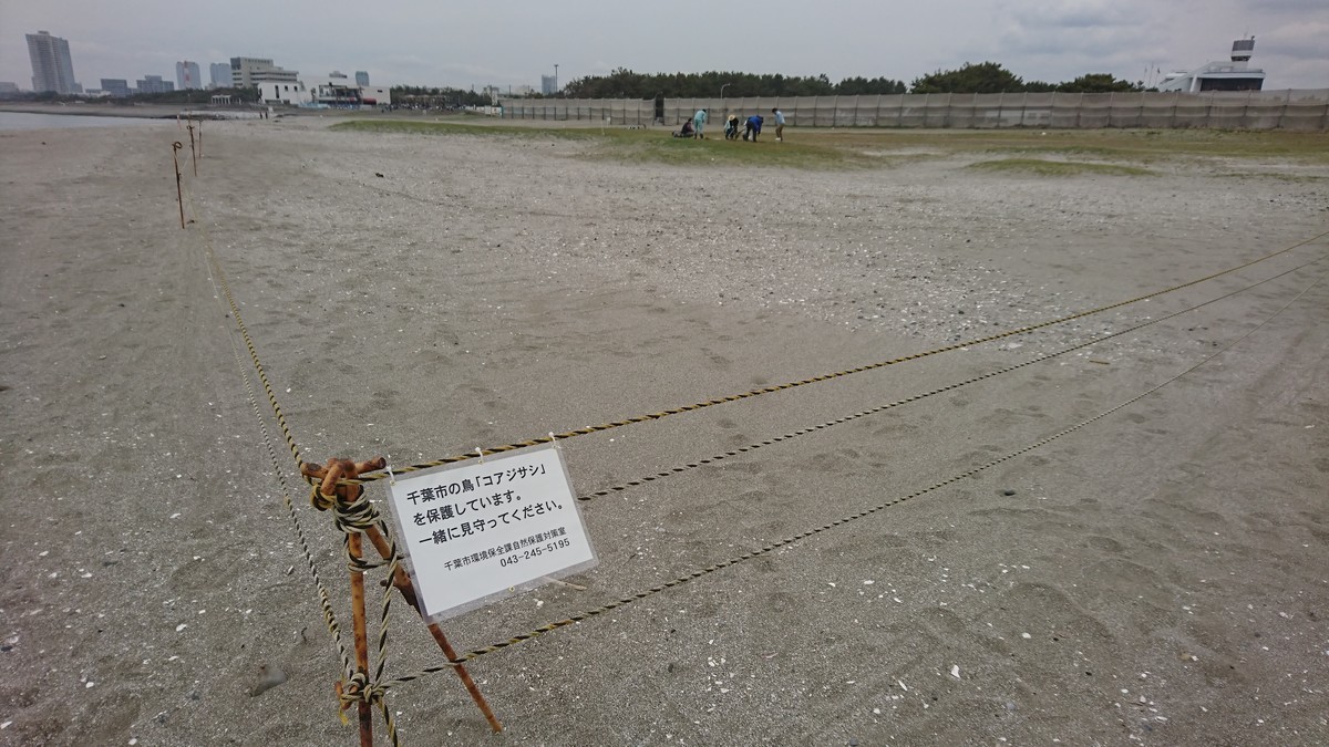 f:id:littletern:20190417114656j:plain f:id:littletern:20190417114656j:plain