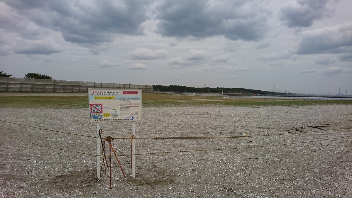 f:id:littletern:20190417123536j:plain f:id:littletern:20190417123536j:plain