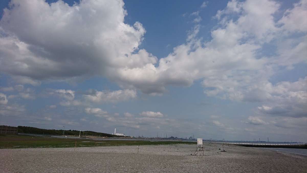 f:id:littletern:20190513141203j:plain f:id:littletern:20190513141203j:plain