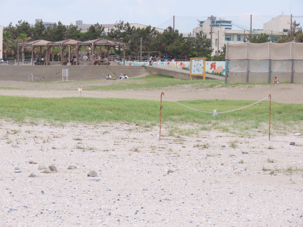 f:id:littletern:20190603120203j:plain f:id:littletern:20190603120203j:plain