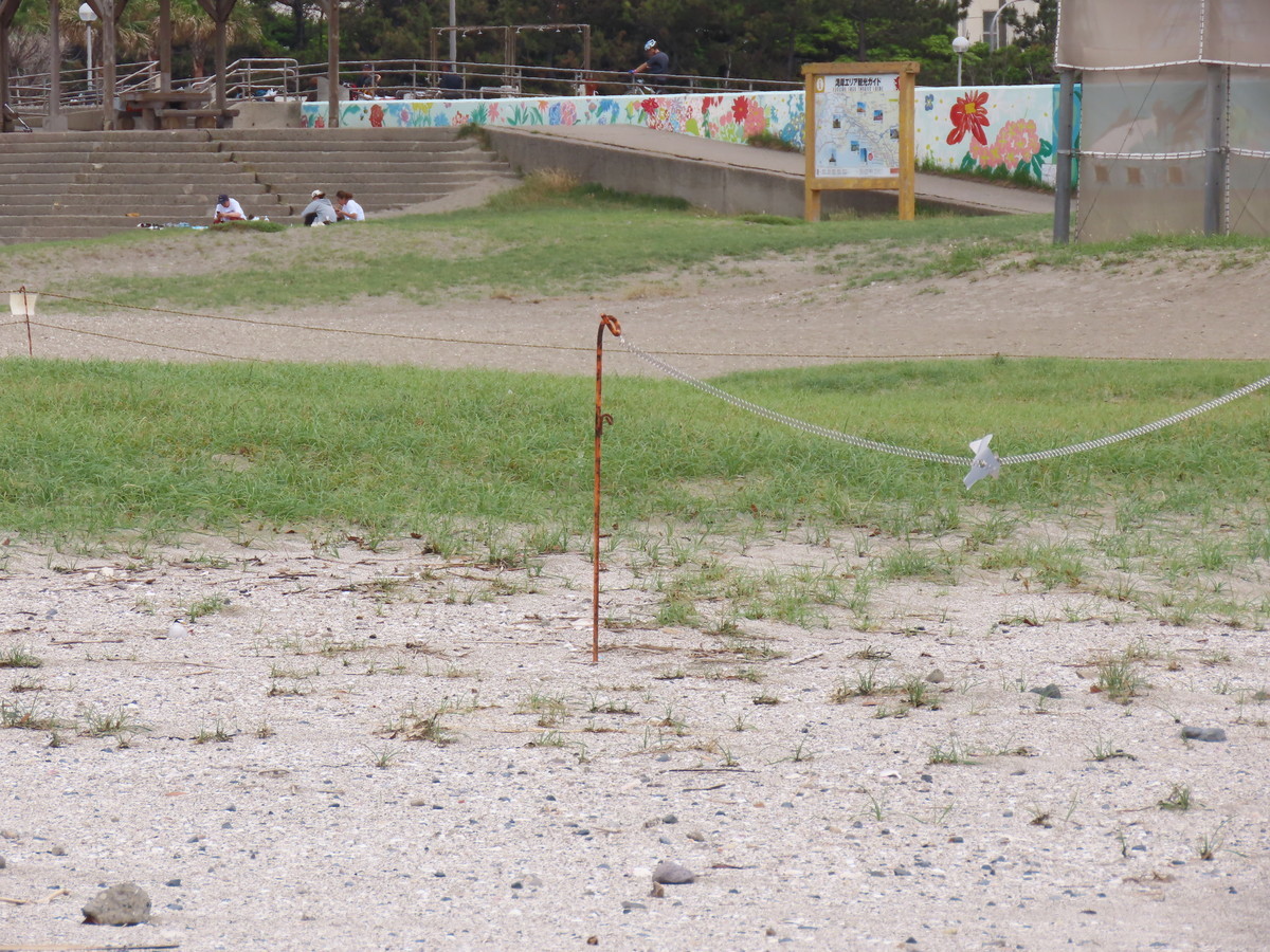 f:id:littletern:20190603120253j:plain f:id:littletern:20190603120253j:plain
