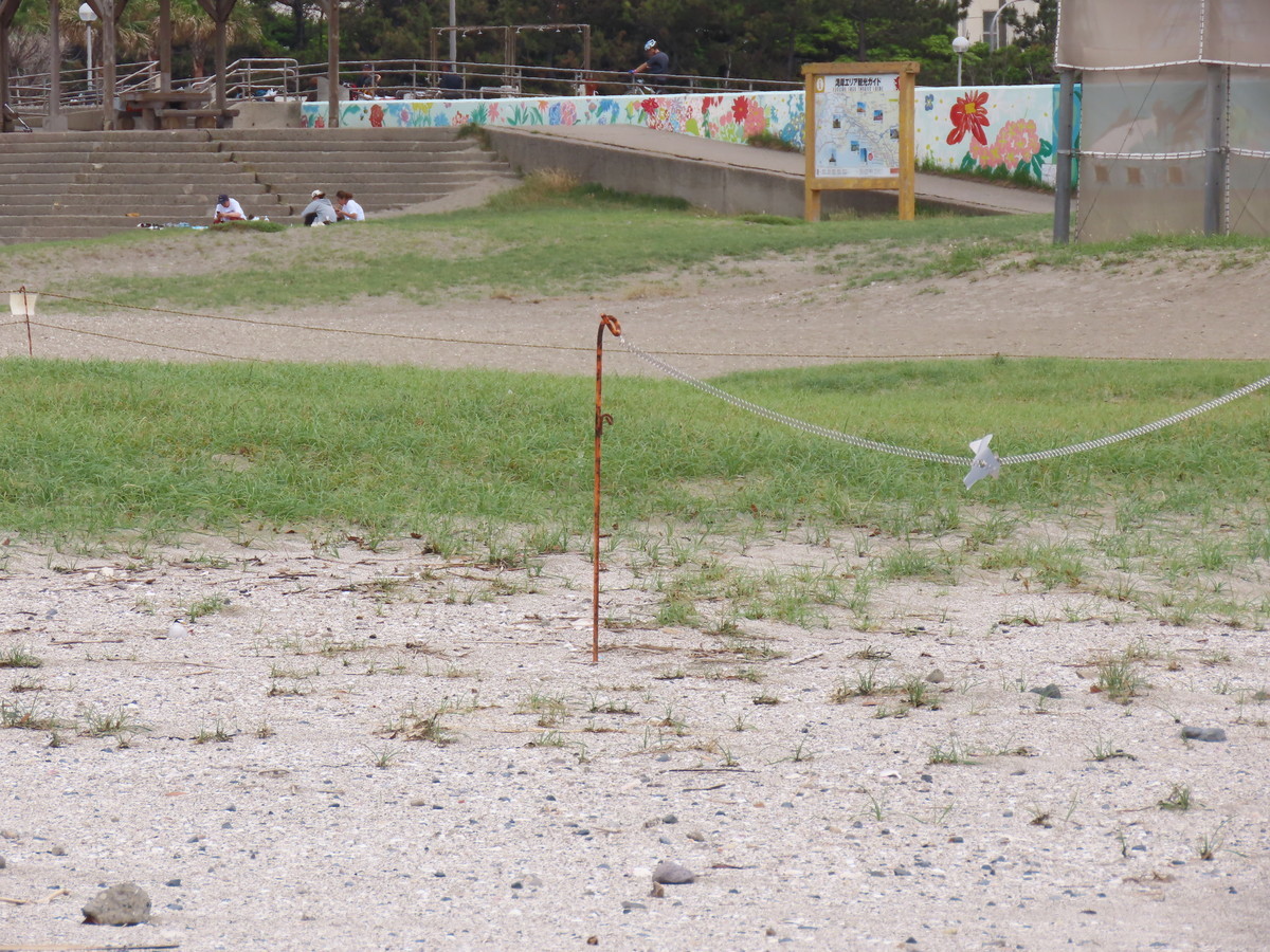 f:id:littletern:20190603120253j:plain