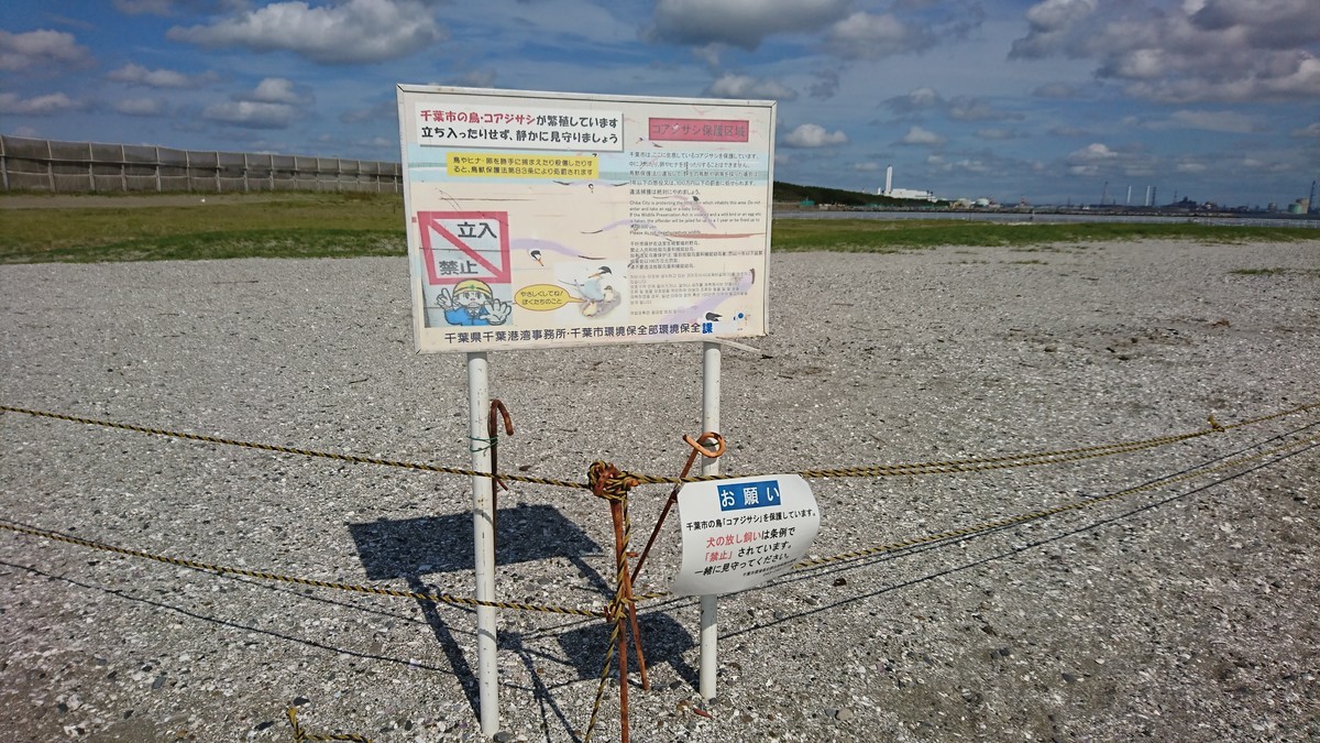 f:id:littletern:20190603150417j:plain f:id:littletern:20190603150417j:plain