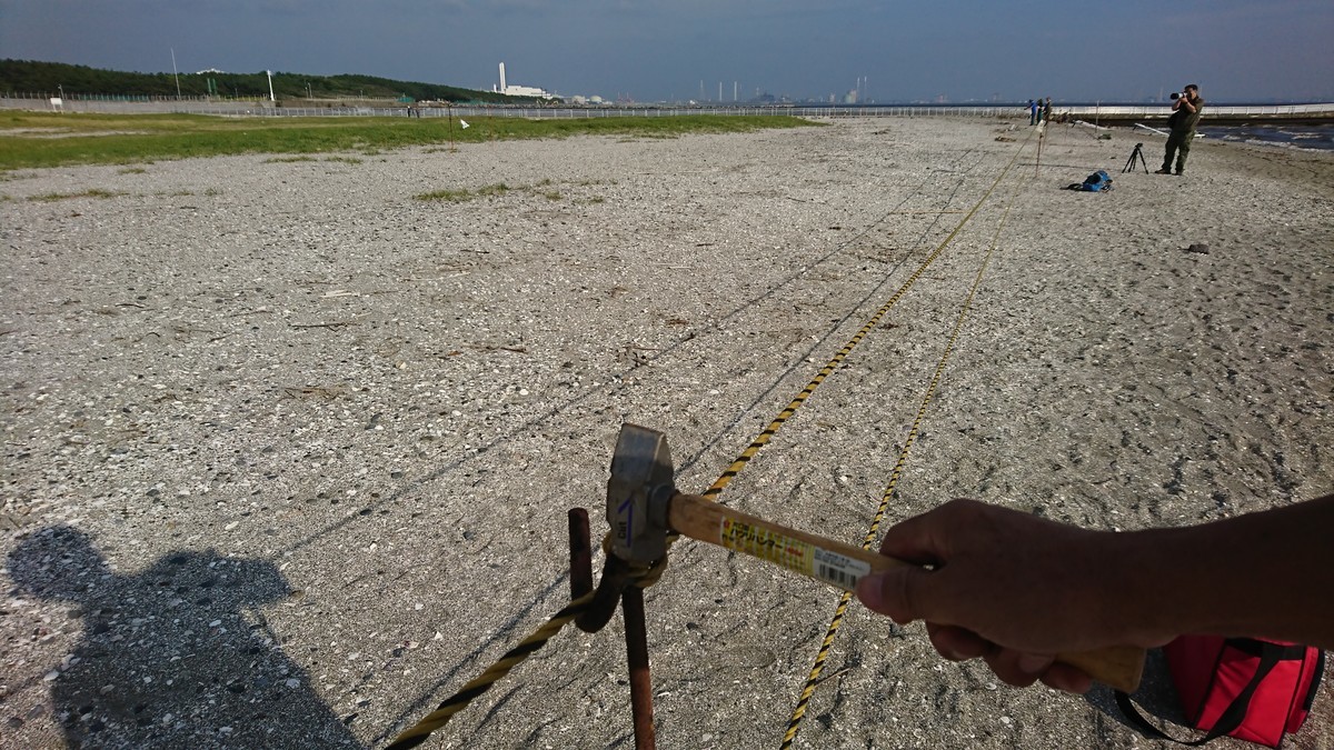 f:id:littletern:20190626163554j:plain f:id:littletern:20190626163554j:plain