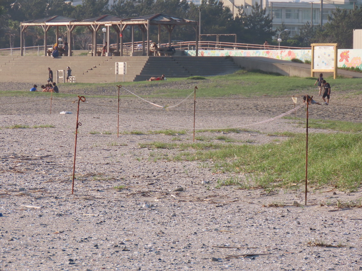 f:id:littletern:20190626171339j:plain f:id:littletern:20190626171339j:plain