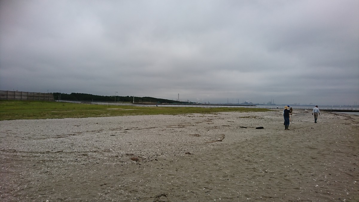 f:id:littletern:20190904101906j:plain f:id:littletern:20190904101906j:plain