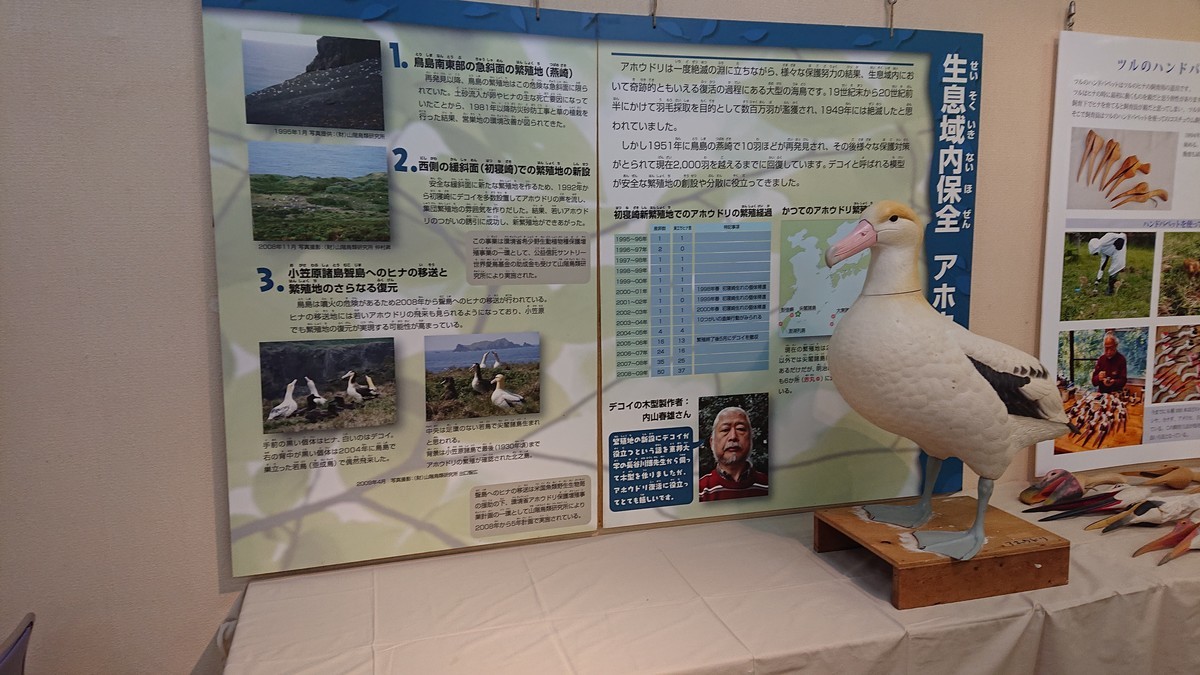 f:id:littletern:20210205140047j:plain
