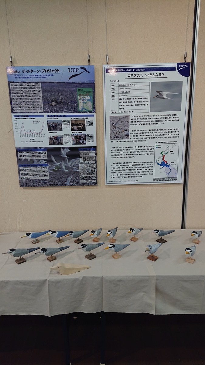 f:id:littletern:20210205142325j:plain