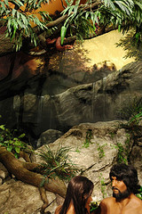 f:id:littleyohane:20101101120414j:image f:id:littleyohane:20101101120414j:image