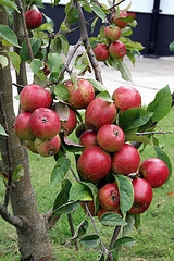 f:id:littleyohane:20120430113830j:image f:id:littleyohane:20120430113830j:image