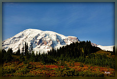 f:id:littleyohane:20120730112638j:image:w360 f:id:littleyohane:20120730112638j:image:w360