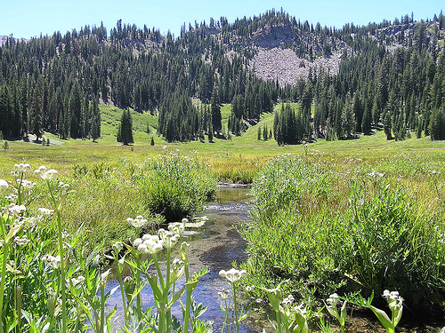 f:id:littleyohane:20121203111814j:image:w550 f:id:littleyohane:20121203111814j:image:w550