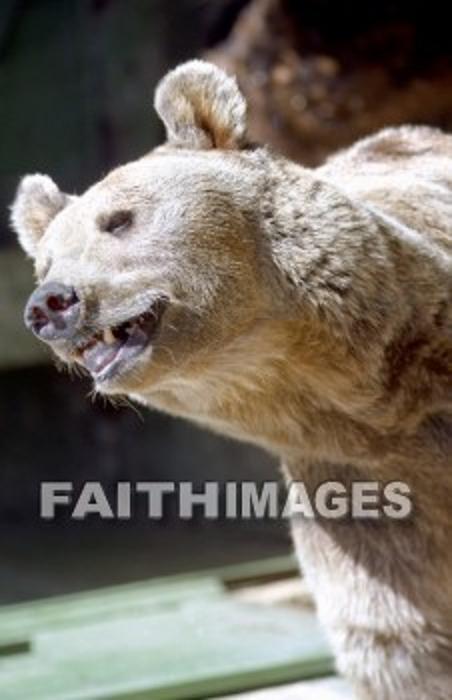 f:id:littleyohane:20121217112825j:image:w360 f:id:littleyohane:20121217112825j:image:w360