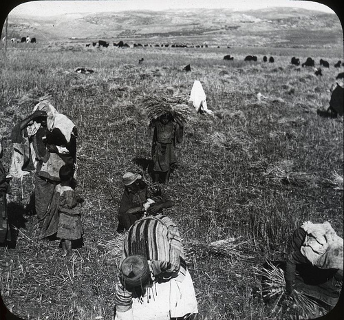 f:id:littleyohane:20130218094306j:image:w600 f:id:littleyohane:20130218094306j:image:w600