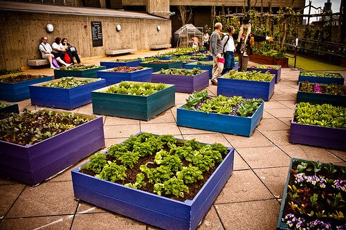 f:id:littleyohane:20130415090123j:image:w640 f:id:littleyohane:20130415090123j:image:w640