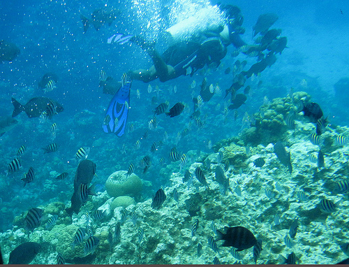 f:id:littleyohane:20130421082819j:image:w600 f:id:littleyohane:20130421082819j:image:w600