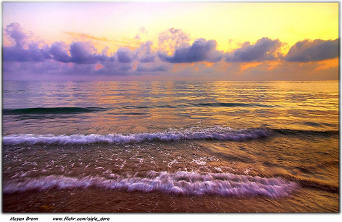 f:id:littleyohane:20130421083138j:image:w600 f:id:littleyohane:20130421083138j:image:w600