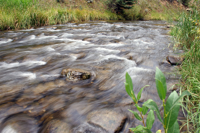 f:id:littleyohane:20130421084440j:image:w600 f:id:littleyohane:20130421084440j:image:w600