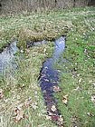 f:id:littleyohane:20130421085826j:image f:id:littleyohane:20130421085826j:image